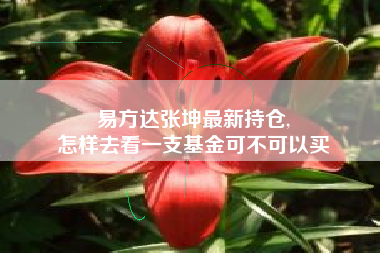 易方达张坤最新持仓,
怎样去看一支基金可不可以买