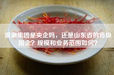 浪潮集团是央企吗，还是山东省的省级国企？规模和业务范围如何？