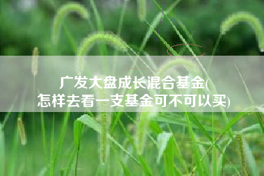 广发大盘成长混合基金(
怎样去看一支基金可不可以买) 广发大盘成长混合基金(
怎样去看一支基金可不可以买)