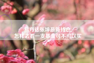 易方达张坤最新持仓,
怎样去看一支基金可不可以买