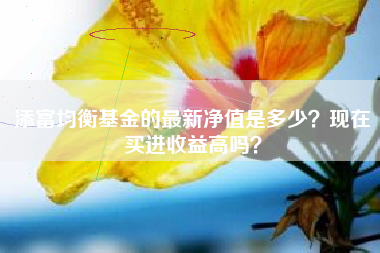添富均衡基金的最新净值是多少？现在买进收益高吗？