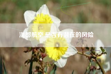 洪都航空,是否有潜在的风险