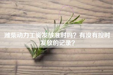 潍柴动力工资发放准时吗？有没有按时发放的记录？