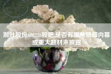 瀚叶股份600226股吧,是否有哪些隐藏内幕或重大题材未披露