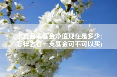 华夏蓝筹基金净值现在是多少(
怎样去看一支基金可不可以买)