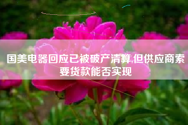 国美电器回应已被破产清算,但供应商索要货款能否实现