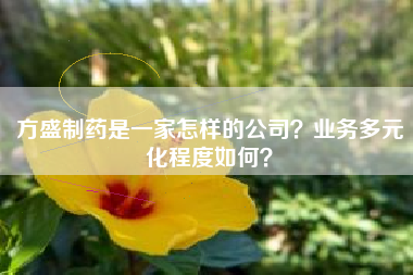 方盛制药是一家怎样的公司？业务多元化程度如何？