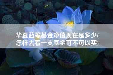 华夏蓝筹基金净值现在是多少(
怎样去看一支基金可不可以买)