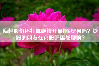 海越股份还打算继续开展LNG贸易吗？炒股的朋友在它股吧里都聊啥？