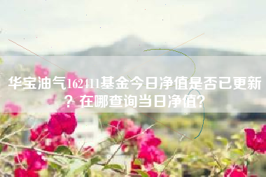 华宝油气162411基金今日净值是否已更新？在哪查询当日净值？