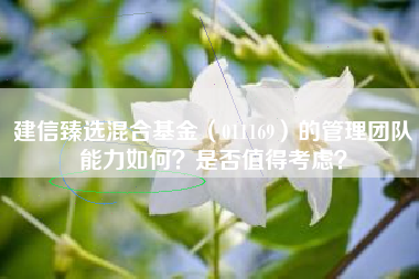 建信臻选混合基金（011169）的管理团队能力如何？是否值得考虑？