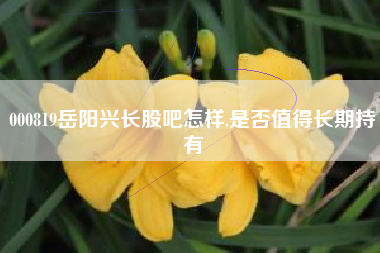 000819岳阳兴长股吧怎样,是否值得长期持有