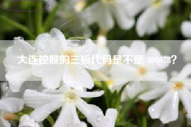 大连控股的三板代码是不是 400078？