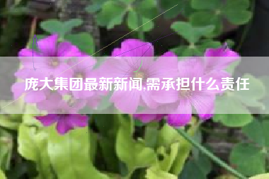 庞大集团最新新闻,需承担什么责任
