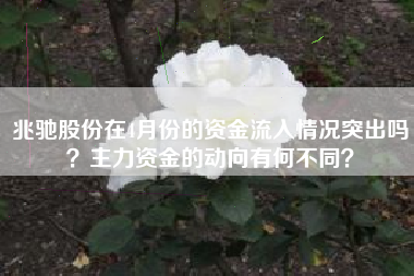 兆驰股份在4月份的资金流入情况突出吗？主力资金的动向有何不同？