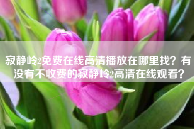 寂静岭2免费在线高清播放在哪里找？有没有不收费的寂静岭2高清在线观看？