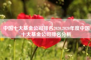 中国十大基金公司排名2020,2020年度中国十大基金公司排名分析