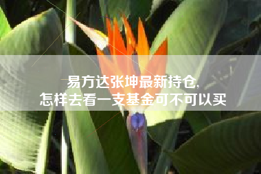 易方达张坤最新持仓,
怎样去看一支基金可不可以买