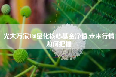 光大万家180量化核心基金净值,未来行情如何把握
