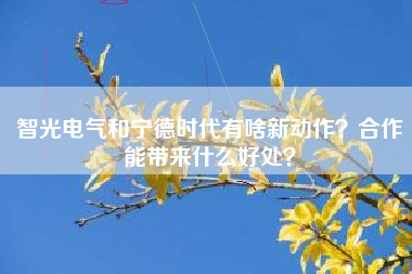 智光电气和宁德时代有啥新动作？合作能带来什么好处？
