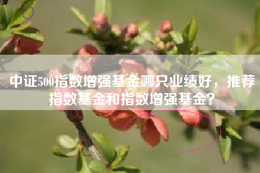 中证500指数增强基金哪只业绩好，推荐指数基金和指数增强基金？