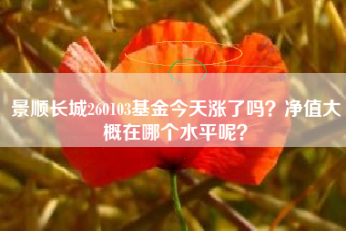 景顺长城260103基金今天涨了吗？净值大概在哪个水平呢？