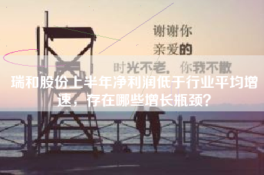 瑞和股份上半年净利润低于行业平均增速，存在哪些增长瓶颈？