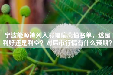 宁波能源被列入涨幅偏离值名单，这是利好还是利空？对后市行情有什么预期？