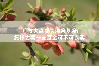 广发大盘成长混合基金(
怎样去看一支基金可不可以买) 广发大盘成长混合基金(
怎样去看一支基金可不可以买)