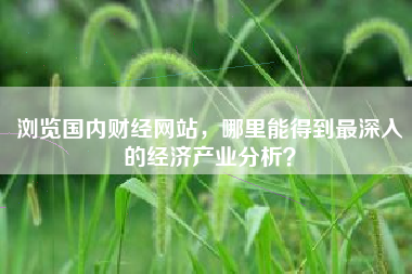 浏览国内财经网站，哪里能得到最深入的经济产业分析？
