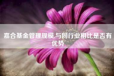 嘉合基金管理规模,与同行业相比是否有优势