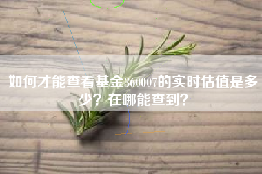 如何才能查看基金360007的实时估值是多少？在哪能查到？
