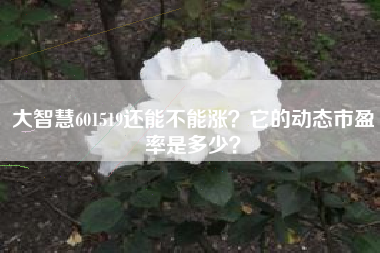 大智慧601519还能不能涨？它的动态市盈率是多少？
