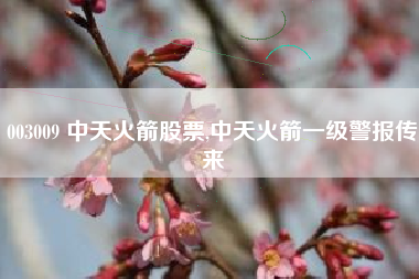 003009 中天火箭股票,中天火箭一级警报传来
