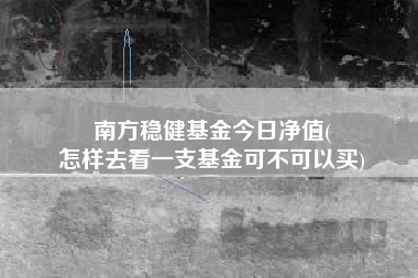 南方稳健基金今日净值(
怎样去看一支基金可不可以买)
