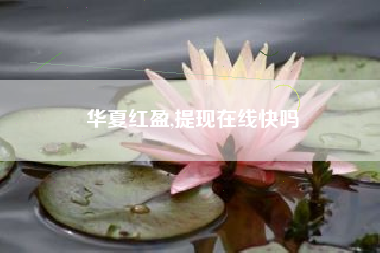 华夏红盈,提现在线快吗