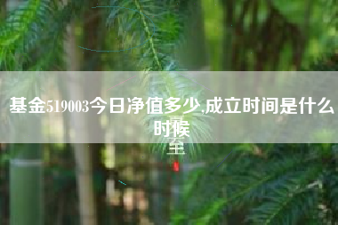 基金519003今日净值多少,成立时间是什么时候