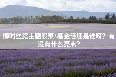 博时丝路主题股票A基金经理是谁呀?有没有什么亮点?