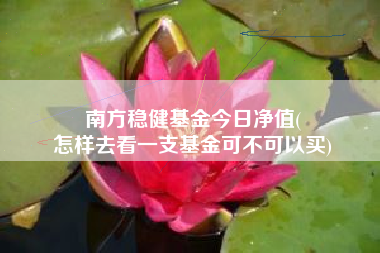 南方稳健基金今日净值(
怎样去看一支基金可不可以买)