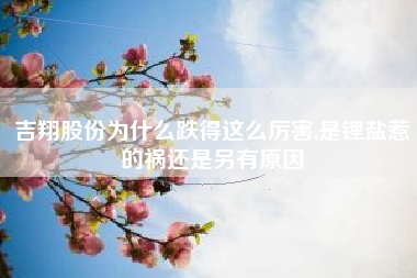 吉翔股份为什么跌得这么厉害,是锂盐惹的祸还是另有原因