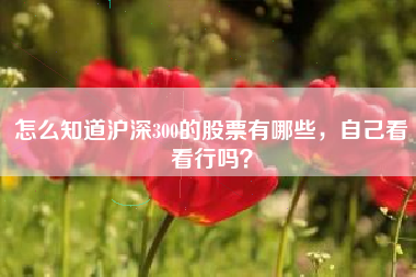 怎么知道沪深300的股票有哪些，自己看看行吗？