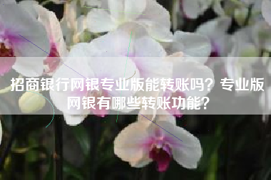 招商银行网银专业版能转账吗？专业版网银有哪些转账功能？