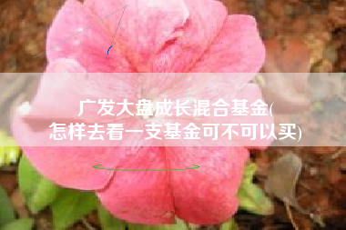 广发大盘成长混合基金(
怎样去看一支基金可不可以买) 广发大盘成长混合基金(
怎样去看一支基金可不可以买)