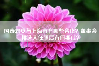 国泰君安与上海市有哪些合作？董事会候选人任职后有何期待？