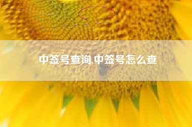 中签号查询,中签号怎么查