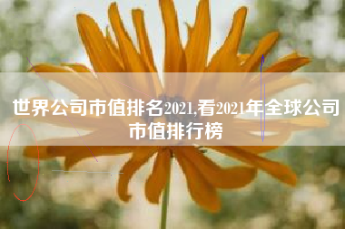 世界公司市值排名2021,看2021年全球公司市值排行榜