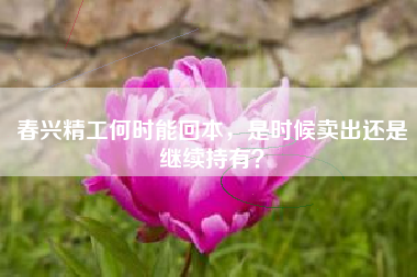 春兴精工何时能回本，是时候卖出还是继续持有？