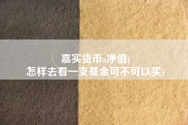 嘉实货币a净值(
怎样去看一支基金可不可以买)