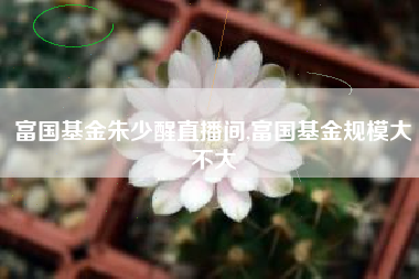 富国基金朱少醒直播间,富国基金规模大不大