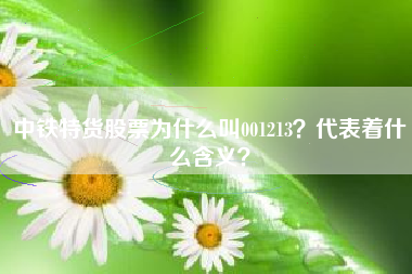 中铁特货股票为什么叫001213？代表着什么含义？
